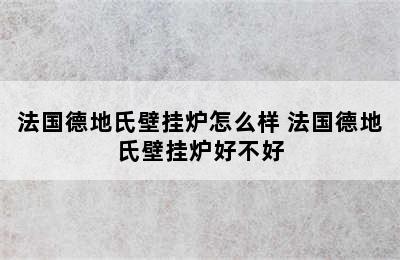 法国德地氏壁挂炉怎么样 法国德地氏壁挂炉好不好